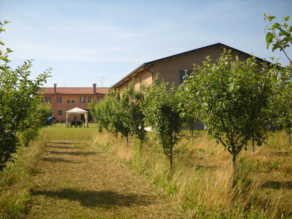 Agriturismo Campi Di Grano Ронкаде Екстериор снимка